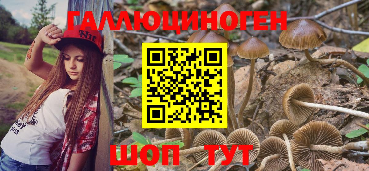 Волоколамск  Псилоцибиновые грибы Psilocybine cubensis  Галлюциногенные грибы прущие грибы  Вход с VPN 